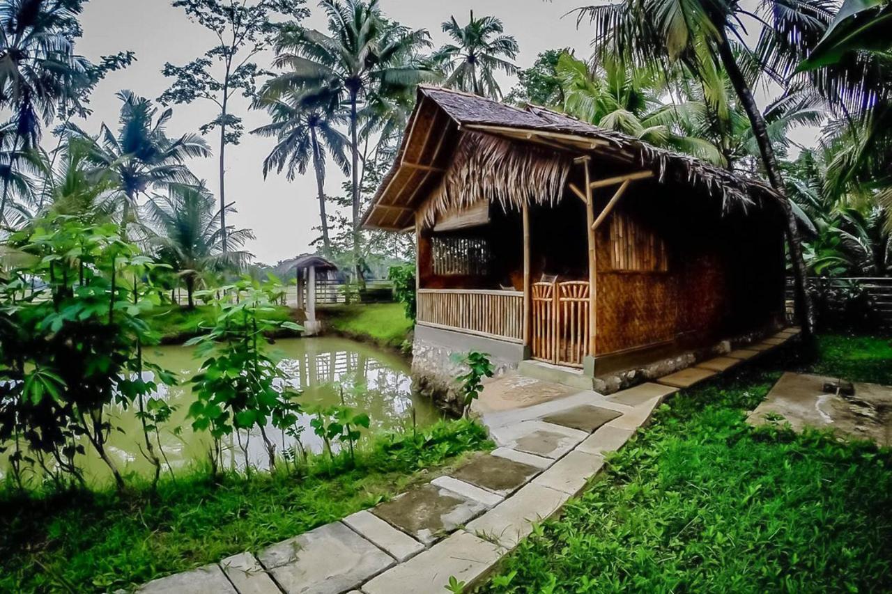 Baleku Bamboo Retreat Otel Pangandaran Dış mekan fotoğraf